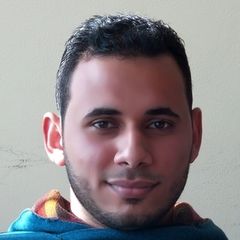 يوسف حمدي, Sales Representative