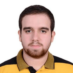 محمود صبري, Dot Net Developer