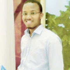 Hassan Essa, Construction Engineer