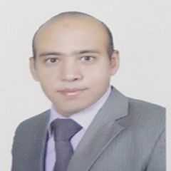 mostafa asaad, Senior Civil Engineer