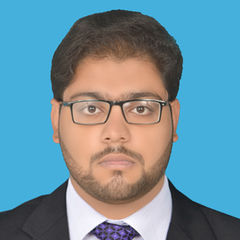 Ashir Hussain, Audit Associate