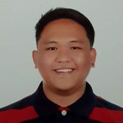 Arvin de Guzman, Analyst