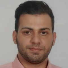Mohammad Salemi rad, Electrical Engineer