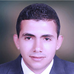 elsayed  sobhy reweesh, Contracts Engineer & Qualifying Contractors