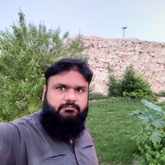 Ali Bhatti