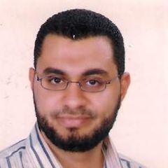 رامي الصياد, Projects Manager