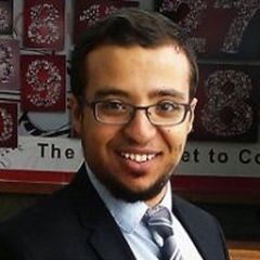 Abdullah Galal, Freelance SAP FICO Consultant