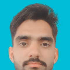 Muhammad  Adeel