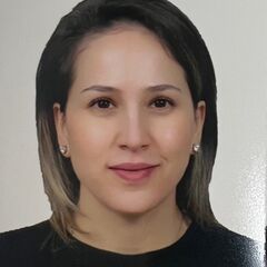 Dana  Dahabi , media expert 