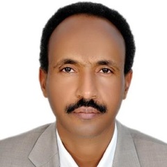 ابراهيم سيداحمد محمد على البطرى, IT Manger and Engineering system administrator