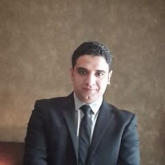 عمرو إمام, Assistant Manager