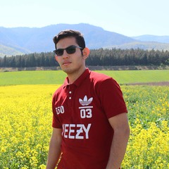 Reza Saeidinejad