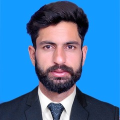 Muhammad Ali  Awan