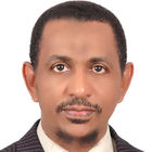 Abdul Muhsin Abdin Sadig, DOCUMENT CONTROLLER WITH AJ SAUDI