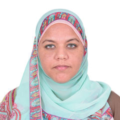 هبة محمد حسن, Procurement Engineer