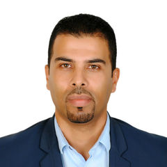 حاتم عزيزة, Software Architect and Consultant