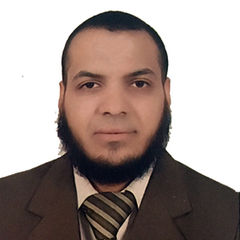 محمد حمدي, Technical Project Manager and Backend Developer