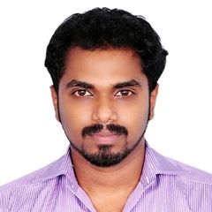 Aji Raj, Software Developer