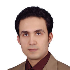 Ahmad Abuzied, Sales & Marketing Specialist