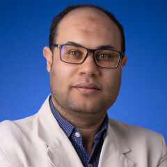 Amir Samy Shafaye, Software Development Manager