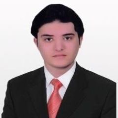 mohamed mohamed soliman el khole