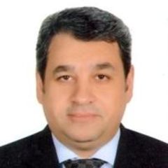 محمد عرابي, Finance and Accounts Manager