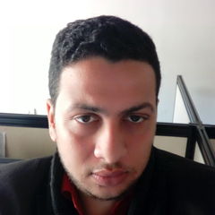 Ahmed mahmoud soliman mahmoud mahmoud, financial consultant