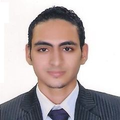 Ahmed Ali Negm, Workshop Engineer