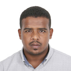 محمد الحسن, Electrical Engineer