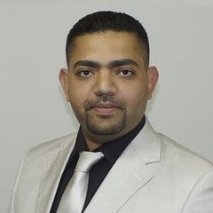 محمد علاء الدين محمد حسن, أخصائى نظم ومعلومات