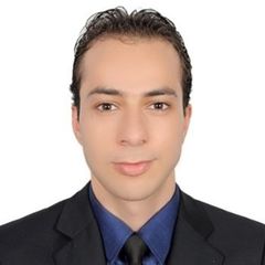 Mahmoud Ibrahim Abu Ammouna, SAP – Technical support
