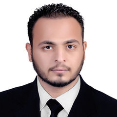 محمد الحسيني السعيد احمد, accountant