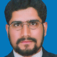 Asif Muhammad, Executive