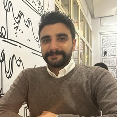 Ali Youssef, Machine Learning Engineer Intern