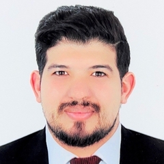عمرو طارق البارودي, Owner And Manager