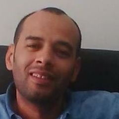Mohamed Anter, internal auditor