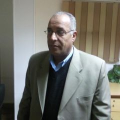 Adel Haikal, مدير مشروعات