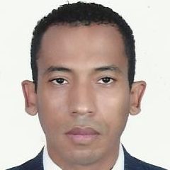 ahmed el hayouni