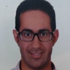 عمرو موسى, IT Infrastructure Engineer support