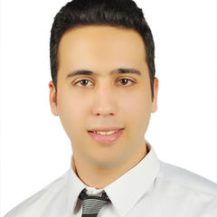 Ayman Badawy, Technical Support Engineer
