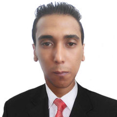 Mohamed Ibrhim, مندوب مبيعات