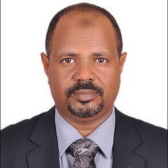 محمد جلال حسين أحمد محمد, Technical Mnager