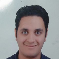 Ahmed Eissa, Accountant