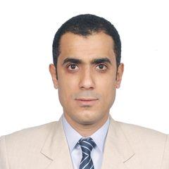 Abdulhakim Amer, Chief Accountant
