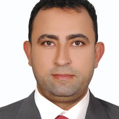 تامر الحوشي, Public relations officer, a customs agent and all transactions in government departments