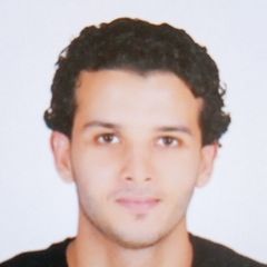 محمد علي اسماعيل أبوغربية, مدخل بيانات