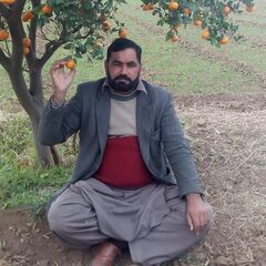 Ghulam Shabir