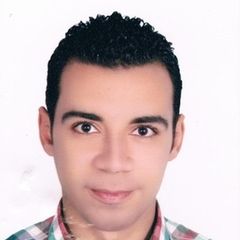 عمرو محمد زكريا, مدير مكتب المدير التنفيذي