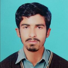 Awais  Ali