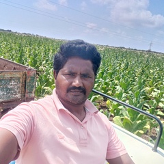 Koti Reddy Gade